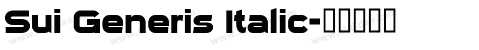 Sui Generis Italic字体转换